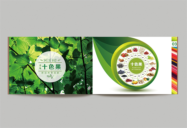 合肥畫冊(cè)印刷_合肥產(chǎn)品畫冊(cè)手冊(cè)設(shè)計(jì)_食品畫冊(cè)設(shè)計(jì)3