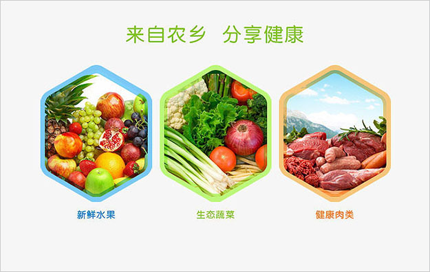 合肥VI設計公司_合肥LOGO設計_著名vi設計公司-農產品VI設計2