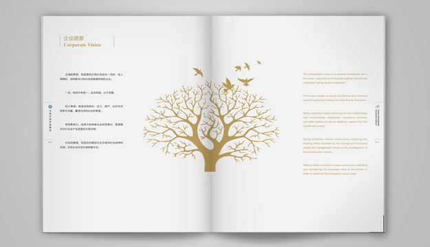 合肥畫冊設計公司_合肥企業年報設計公司-合肥年報設計-合肥集團年報設計-合肥公司年報設計