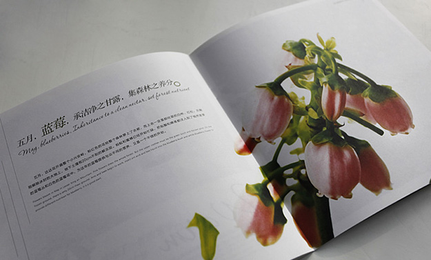 合肥招商畫冊設(shè)計-合肥形象畫冊設(shè)計