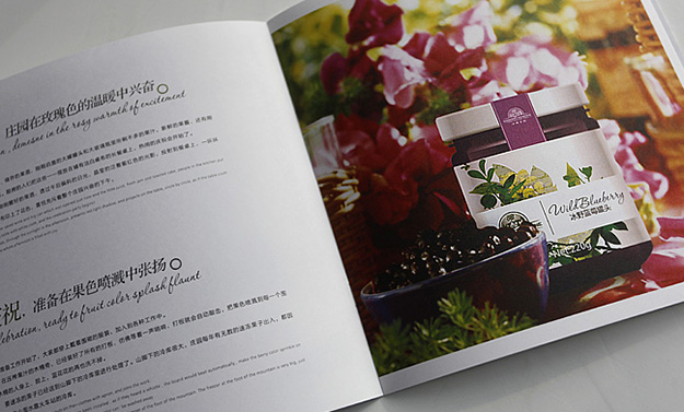 合肥招商畫冊設(shè)計-合肥形象畫冊設(shè)計