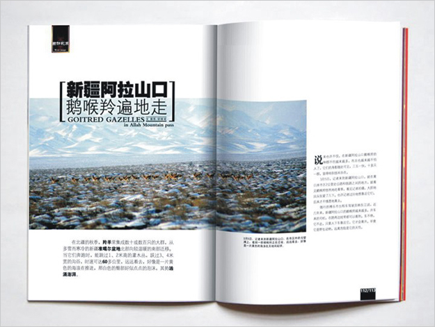 合肥雜志策劃制作公司-合肥雜志設(shè)計(jì)公司-著名畫冊(cè)設(shè)計(jì)公司